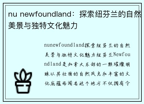 nu newfoundland：探索纽芬兰的自然美景与独特文化魅力